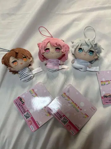 컬러풀 피치 3종 세트