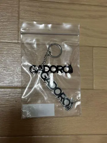 [ GADORO ] Zepp 투어 메탈 키링