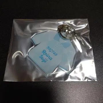 세이지 레이나 네임 키링