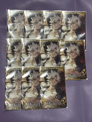 FGOAC FGO 아케이드 아마쿠사 시로 세츠나노마호로바 11장 세트