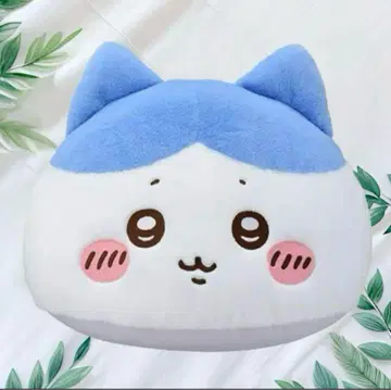 치이카와 프리미엄 돔 쿠션 하치와레