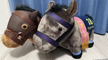 서러브레드 컬렉션 BIG 묶음 판매