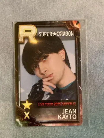 슈스에비 리얼카드 SUPER DRAGON 장해
