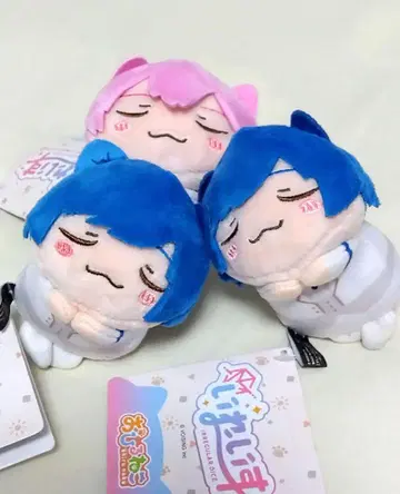 이레귤러스 낮잠 마스코트 If 나이코 3개 세트