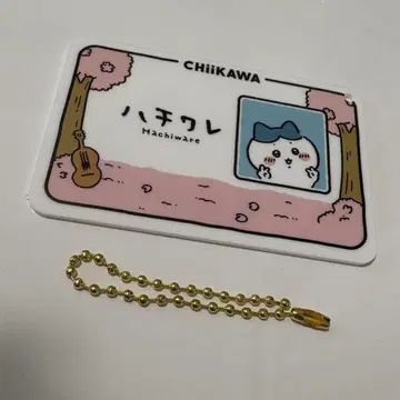 하치와레 홍콩 Chiikawa day 입장 혜택