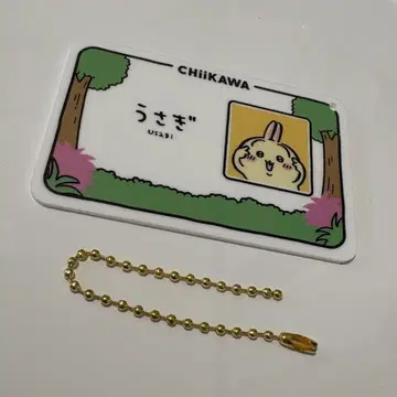 토끼 홍콩 Chiikawa day 입장 혜택