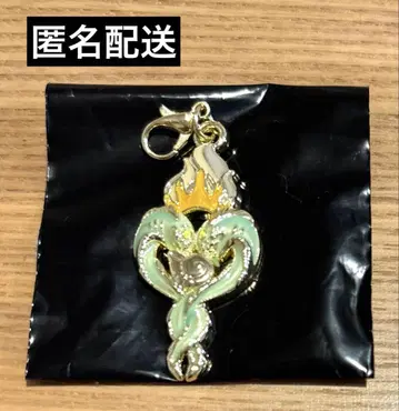 빌런 시크릿 참 어스큘라 플롯섬 & 제트섬 디즈니