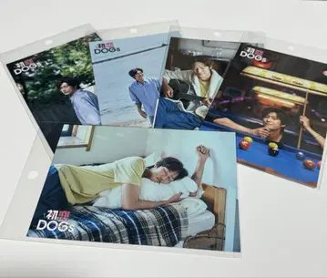[ 첫사랑DOGs ] 굿즈_엽서 5장 세트