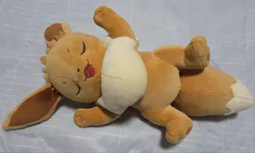 택 포함 굿나잇 이브이 포근 봉제 인형