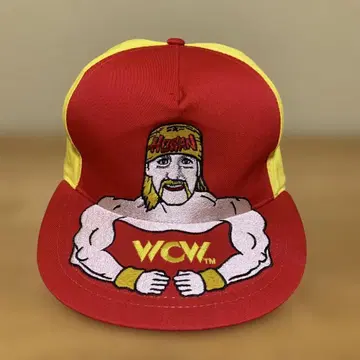 World Championship Wrestling Hulk Hogan