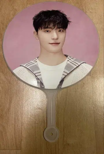 SEVENTEEN caratland 2024 부채 디노