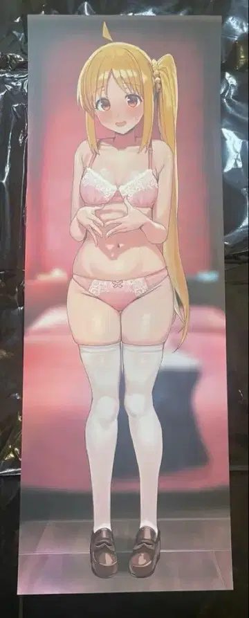 c106 로카 보치 더 록 회장 한정판 롱 포스터 이지치 니지카