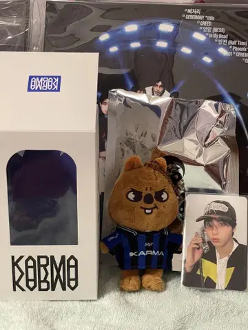 straykids 스키즈 karma skzoo 한쿼카 한