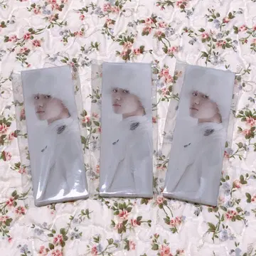 SEVENTEEN 아이노치카라 캔뱃지 The8