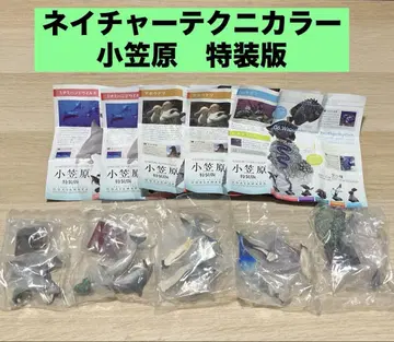 네이처 테크니컬러 오가사와라 특장판 5점
