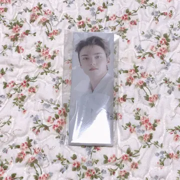 SEVENTEEN 아이노치카라 캔뱃지 버논