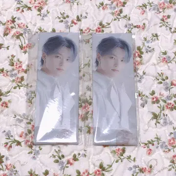 SEVENTEEN 아이노치카라 캔뱃지 디노