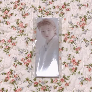 SEVENTEEN 아이노치카라 캔뱃지 우지