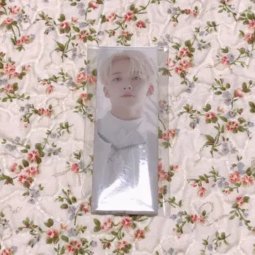 SEVENTEEN 아이노치카라 캔뱃지 정한