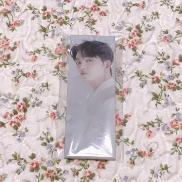 SEVENTEEN 아이노치카라 캔뱃지 에스쿱스