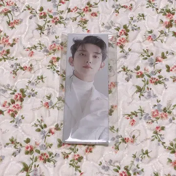 SEVENTEEN 아이노치카라 캔뱃지 조슈아