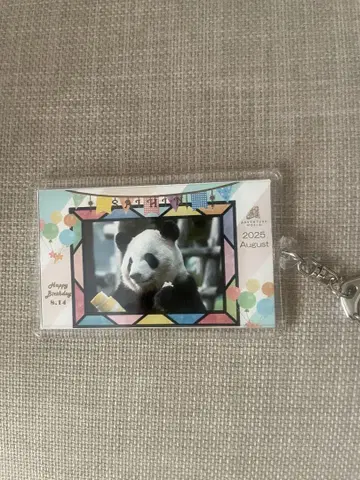어드벤처 월드 팬더 한정판 키링 생일 채 패밀리