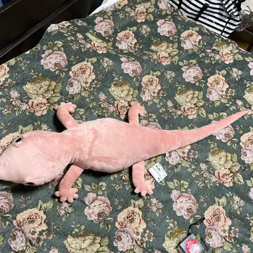 진수 포획 시리즈 도마뱀