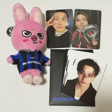karma skzoo ver. 창빈