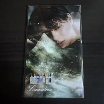 란도린 히라노 쇼 Number_i 리플렛