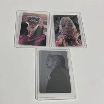 지연 전시회 트레카세트