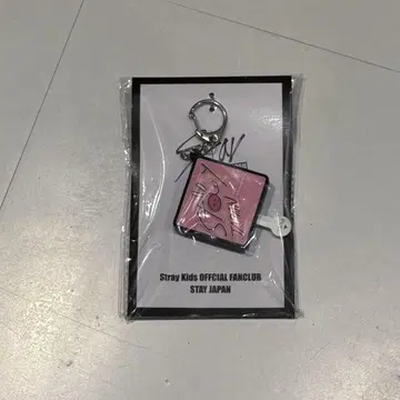 Stray Kids 스키즈 FC 한정판 창빈 보이스 키링