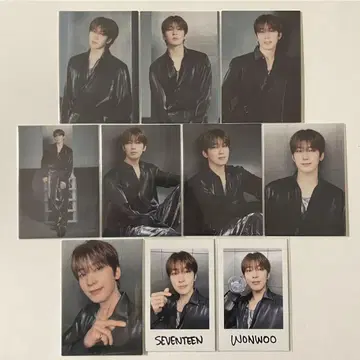 SEVENTEEN 원우 RIGHT HERE 트레이딩 카드 인스턴트 10장