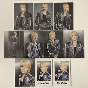 SEVENTEEN 정한 RIGHT HERE 트레이딩 카드 인스턴트 10장