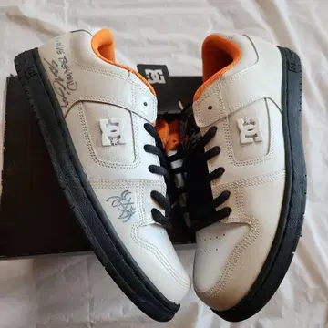 레어 SBTG 마크 원 사인 포함 DC SHOES MANTECA 3 SE