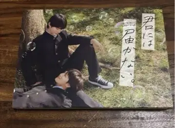 너에게 닿지 않아. 드라마 DVD
