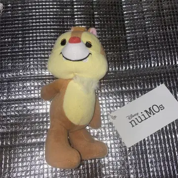 데일 nuiMOs 플러시 봉제 인형