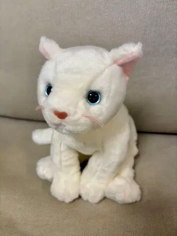ty 화이트 고양이 봉제 인형 버디즈