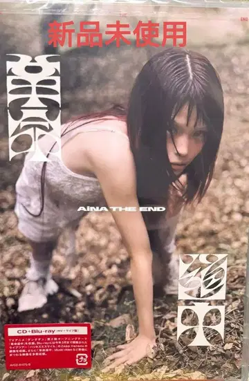 아이나지엔드 혁명도중