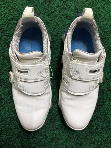 FOOT JOY 풋조이 55519J 골프화 투어알파