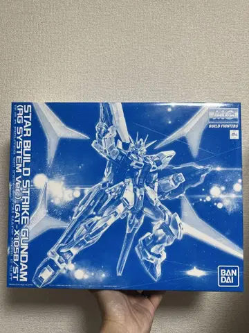 MG 1/100 스타 빌드 스트라이크 건담 (RG 시스템 Ver.)