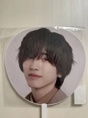 미치에다 슌스케 부채