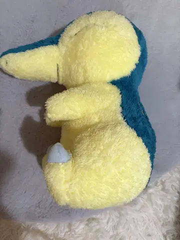 [복슬복슬] 히노아라시 봉제 인형 BIG 포켓몬