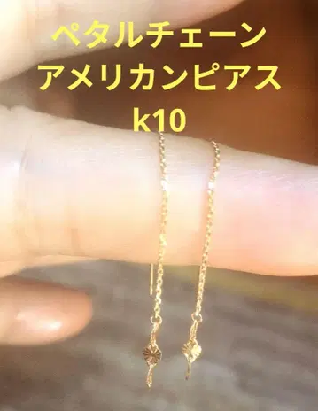 페탈 체인 아메리칸 귀걸이 k10
