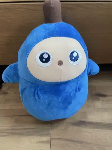 라보 파랑 컨디션 최상