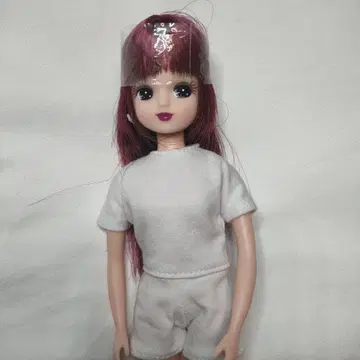 리카짱 인형 할로윈 리카 2024년