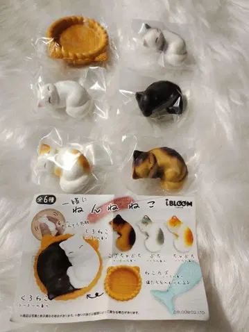 함께 넨네 고양이 6종 블루룸 스퀴즈