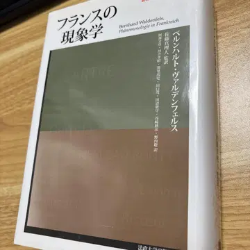 프랑스의 현상학
