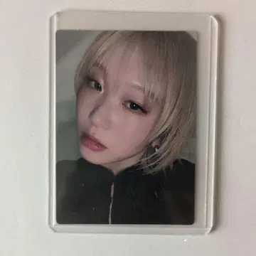 ExWHYZ iD 부속 트레이딩 카드 mayu