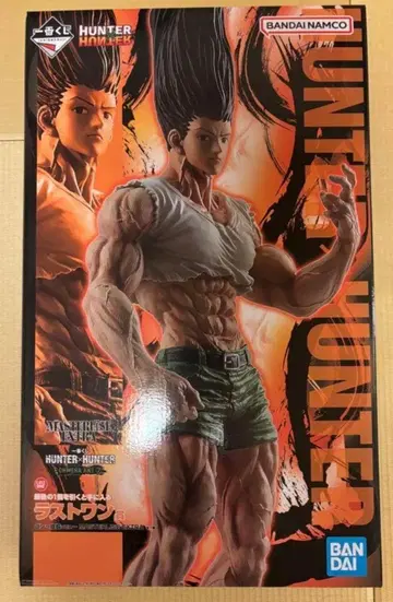 제일복권 HUNTER x HUNTER 라스트 원상 곤 ~성장 ver.