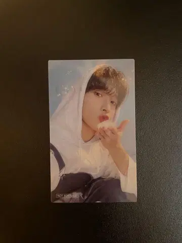 seventeen 도겸 트레이딩 카드